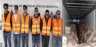 Amarran a chofer para robarle 30 toneladas de leche