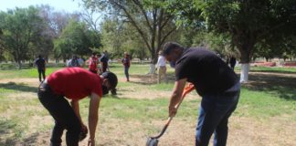Rehabilitan zonas reforestadas en El Chamizal
