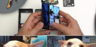 Multas por reparar celulares y hacer memes