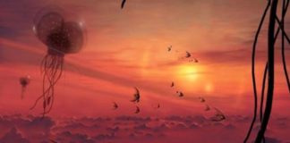 Astrónomos hallan indicios de vida en Venus