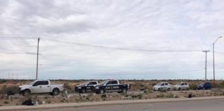 Amarrados hallaron a 4 muertos