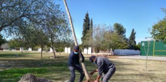 Finalizan con reforestación de El Chamizal