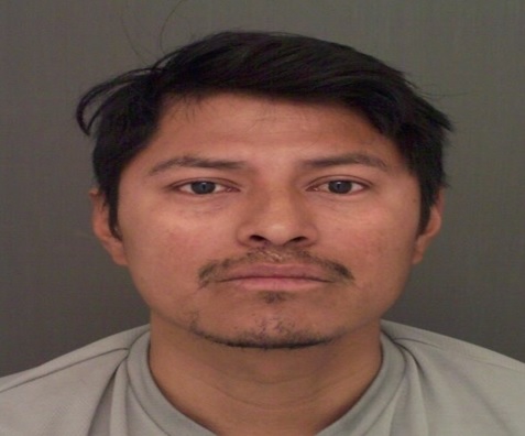 PANTALEÓN-HERNÁNDEZ-PÉREZ-