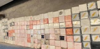 Sedena y FGR aseguran 834 kilos de cocaína en Edomex, el decomiso más grande en 10 años