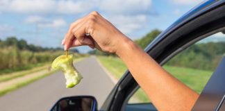 Hasta 8 mil pesos de multa por tirar basura