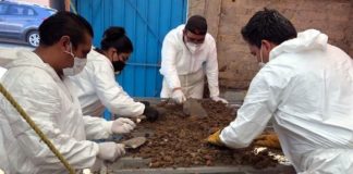Hallan 3,787 restos óseos en casa de feminicida de Atizapán