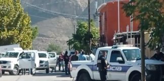 Fueron 5 los cadáveres localizados; a uno lo destazaron