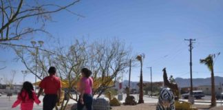 Pronostican Civil semana soleadita y agradable