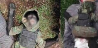 VIDEO: dedican corrido a mono abatido en balacera