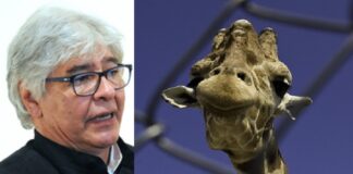 Se reune Presidente con ‘Sebastián’ para analizar tema de escultura a Modesto