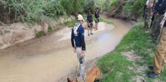 Rastrean a 13 migrantes en Ojinaga y Guadalupe