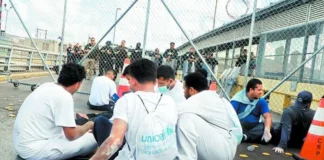 Germina crisis por la migración venezolana