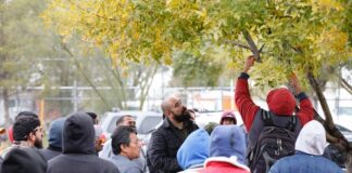 Darán curso de poda de árboles este 2 de diciembre