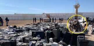 Localizan un toro mecánico que usaban reos del Cereso