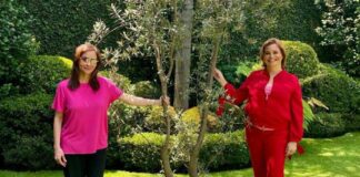 DESENTUERTOS: VEN CON LUPA A MARU PERO NO TERMINA DE CONVENCER