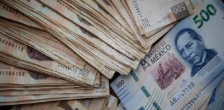 Salario de maestros aumentará un 8.2%