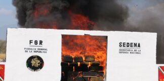 Incineran en Nuevo León más de 400 kilos de droga