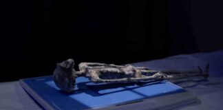 Médicos analizan a supuestos alienígenas de Jaime Maussan