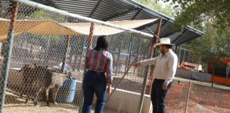 Departamento de Bienestar Animal revisa los animales del Parque Central