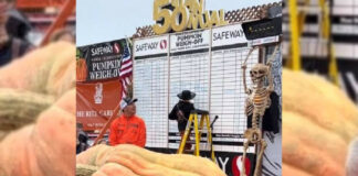 Vídeo: Récord de calabaza de 1246 kilos