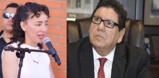 DESENTUERTOS: SOBRINA DE MOCKEN VA POR DIPUTACIÓN