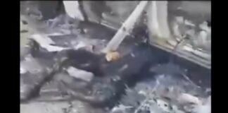 VIDEO: ¡Aquí está ‘El Payaso’! Lo reconocen entre ‘caídos’ en Texcaltitlán