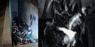 Sorprenden a 69 migrantes en drenajes pluviales de El Paso