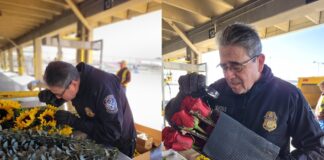 ¿Qué flores se pueden cruzar a El Paso?