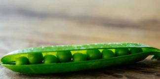 Hombre pensó que tenía cáncer de pulmón, en realidad le estaba creciendo una planta