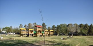 Reforestan parque El Chamizal