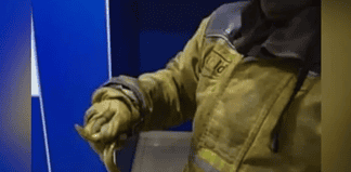 Serpiente se mete a una de las salas en León, Guanajuato