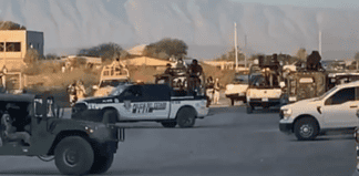 Hallan al menos 11 cuerpos en Ojinaga, Chihuahua; se presume ajuste de cuentas