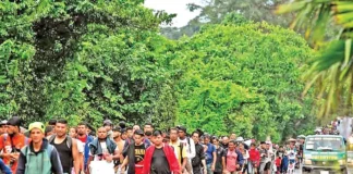 Se enfilan en caravana a EU 2,500 migrantes