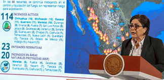 Hay 114 incendios activos en 23 estados; 38 mil hectáreas están afectadas: Protección Civil