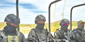 EU actúa en operativo antinarco en Sinaloa