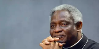 Cardenal Turkson, el favorito para convertirse en el primer papa africano
