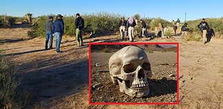 En rastreo localizan cráneo en el desierto
