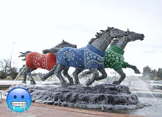 Meme: Los Indomables tienen frío